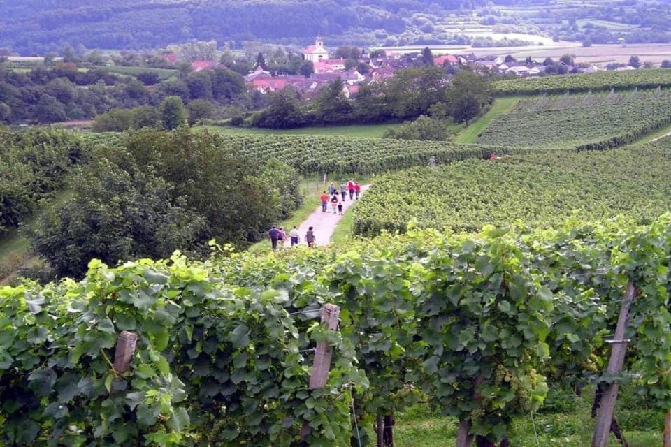 Region [summer] (>5 km)