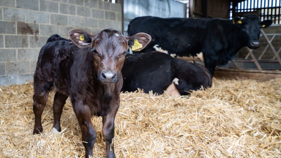 Meet your neighbours!