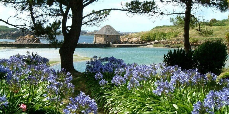 Come and visit the magnificent island of Bréhat (pier 15min away)