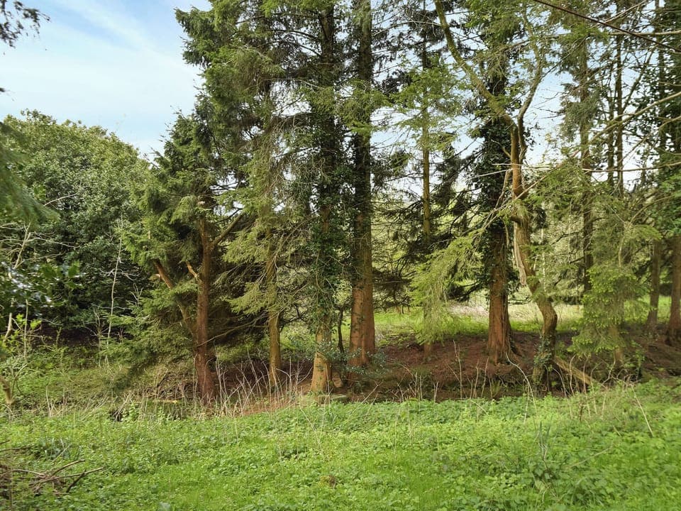 Surrounding area | Dove House, Hollingworth