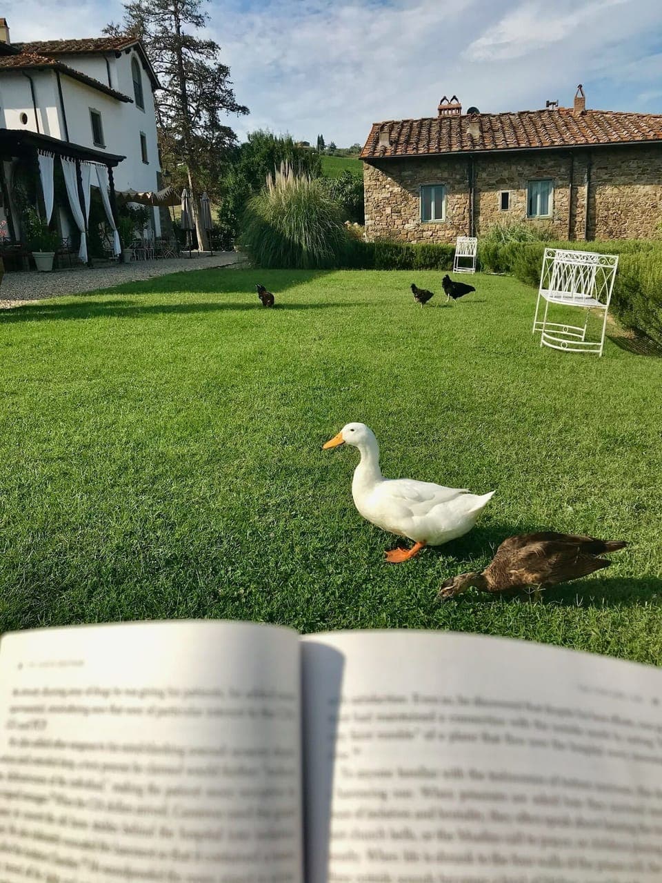 Reading and relaxing