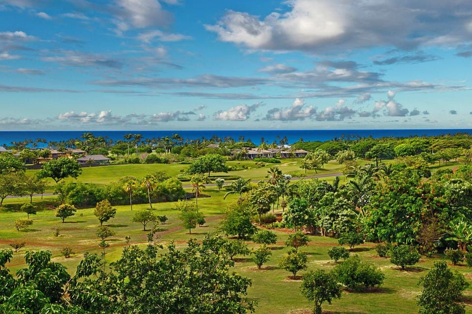 kahalawai_40_livrm_view