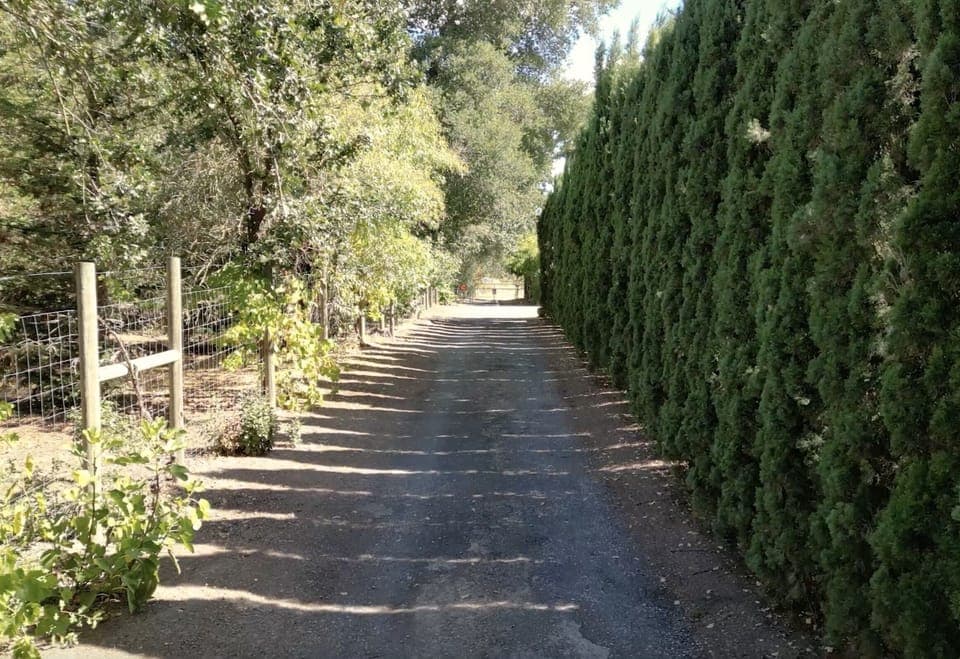 House is set back from main road offering    a private, tranquil sanctuary.