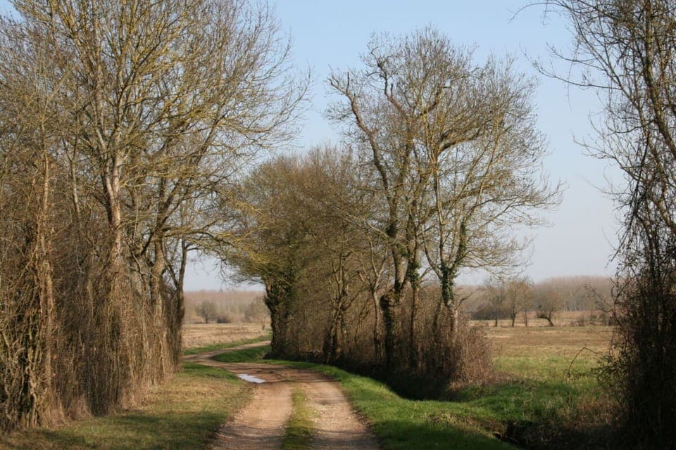 Surroundings [summer] (1-5 km)