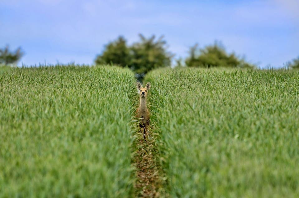 Explore the surrounding area of Tittleshall