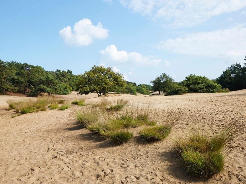 Immediate Surroundings [summer] (<1 km)