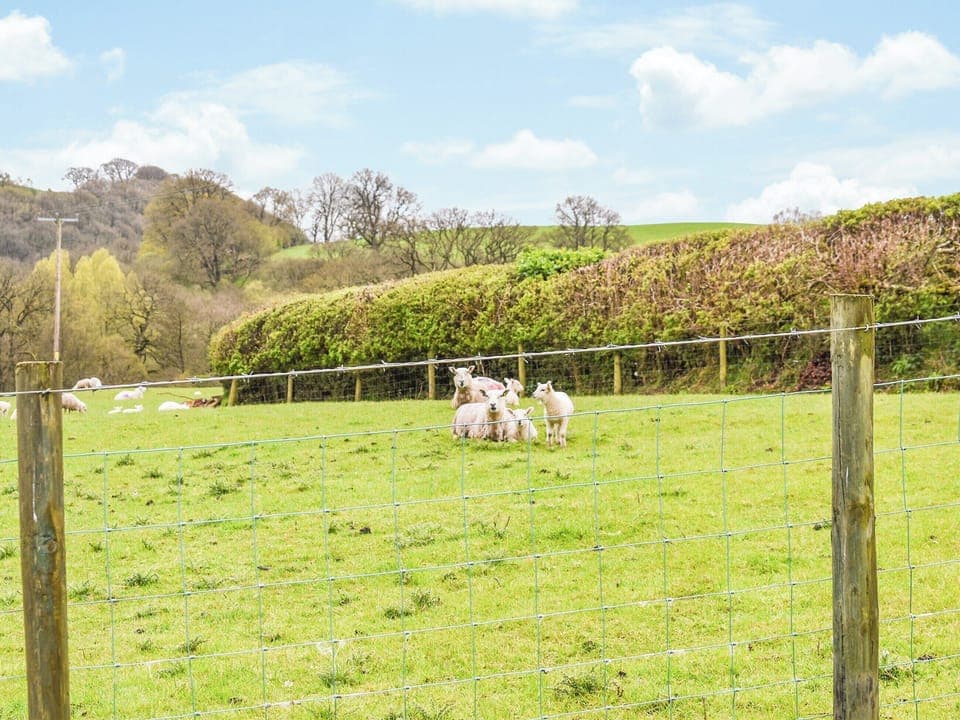 View | Seren, Abbeycwmhir, near Llandrindod Wells