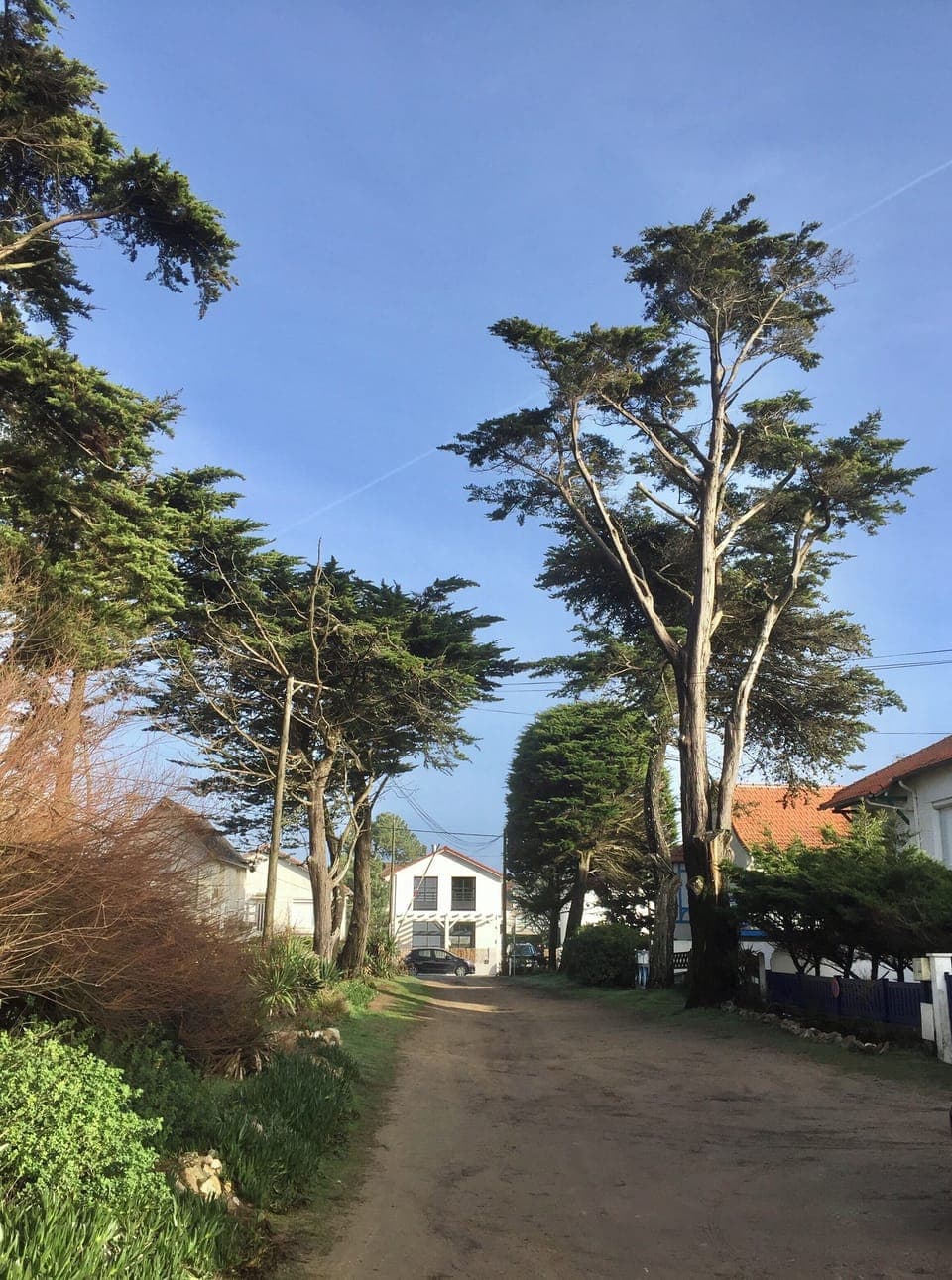 b805ea87-ed98-4d8d-b864-28b21d331744