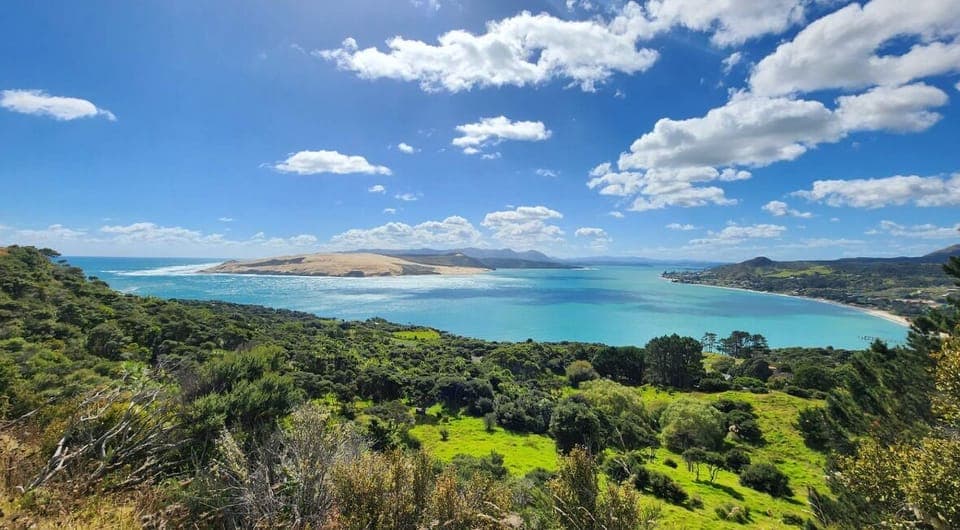 View from the top hill of property