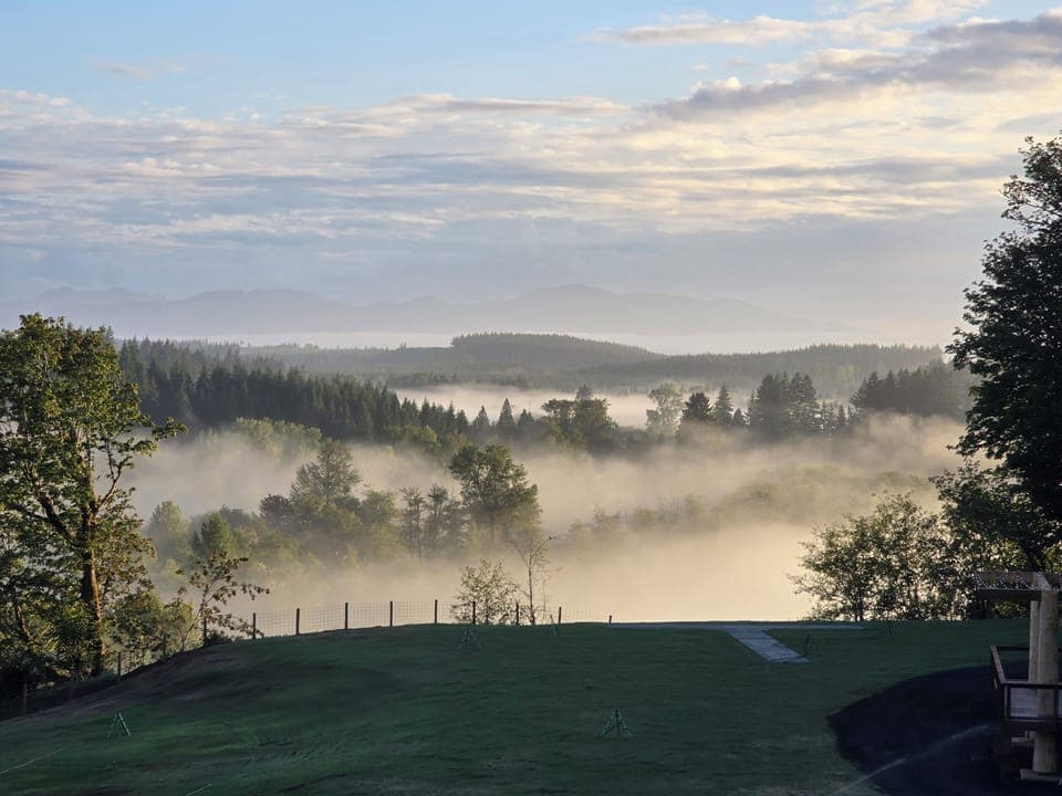 View from our deck. The Olympic Mountains and Satsop River is below