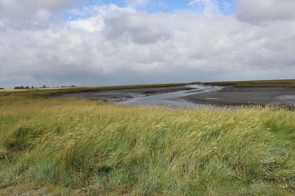 Surroundings [summer] (1-5 km)