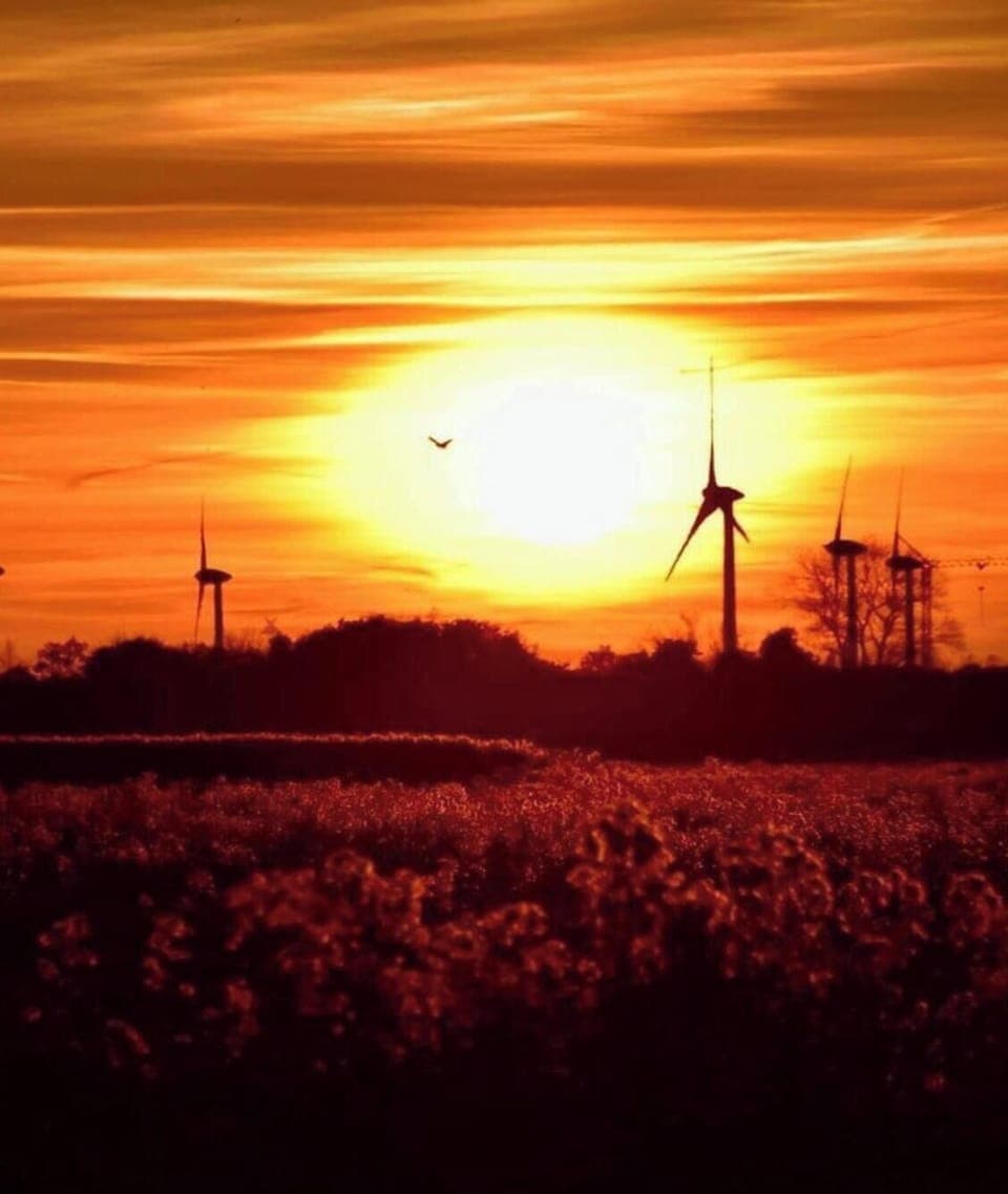 Surroundings [summer] (1-5 km)