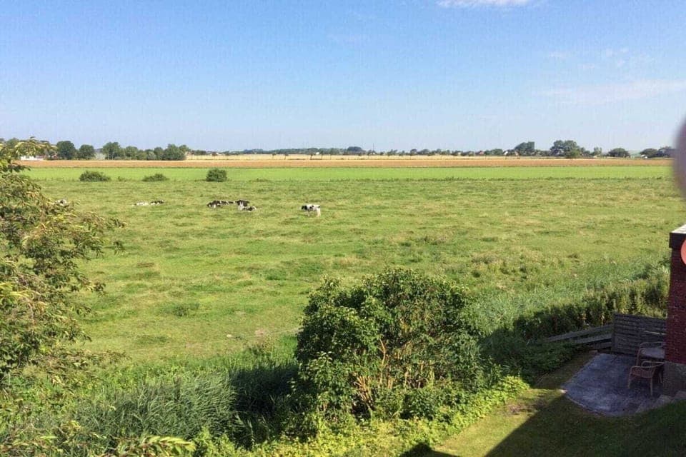 Region [summer] (>5 km)