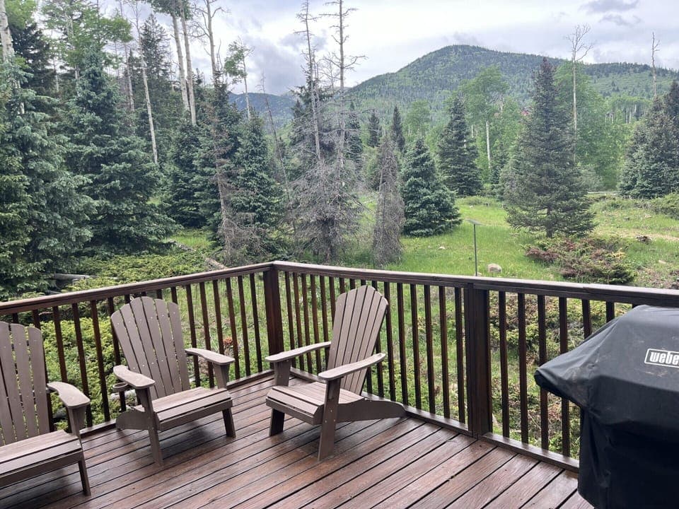 Back deck and grill