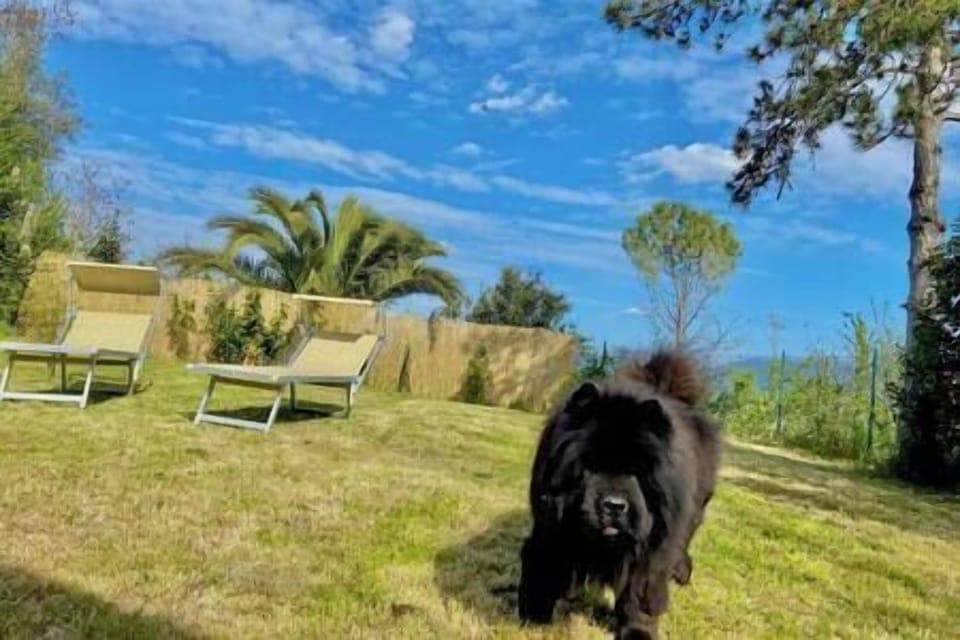 Gli animali sono i ben venuti. Tutta la proprietà è ben recintata.