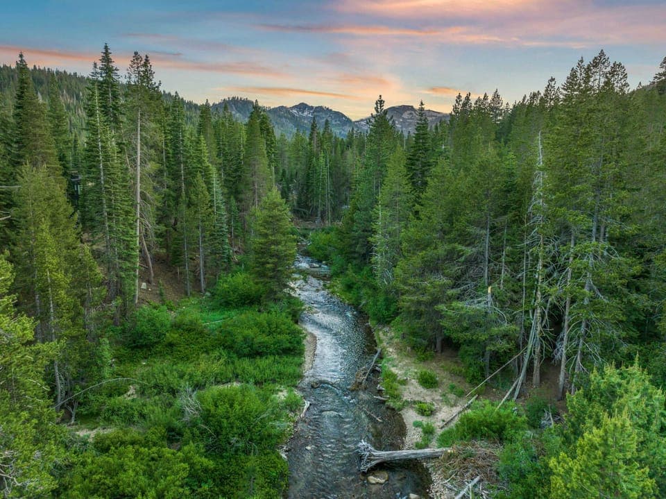 Exterior: A tranquil creek runs along the back of the home adding to the stunning scenery