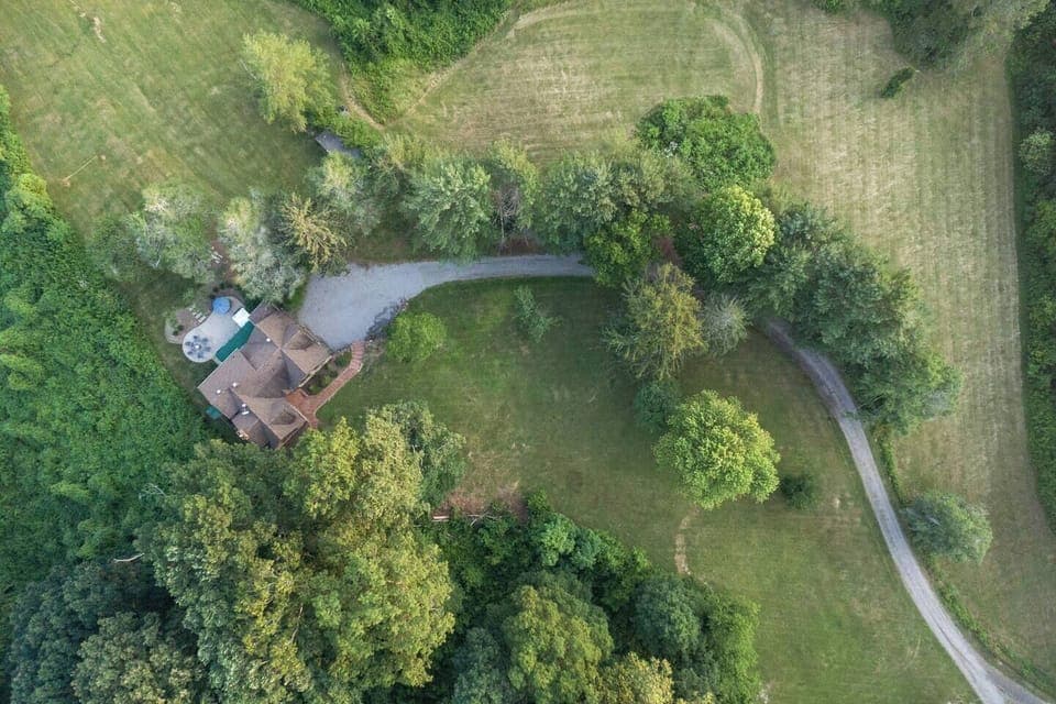 Yep...that is dog friendly.  Enjoy 9 acres of open area to play and walk with your pet.

The property is an estate!