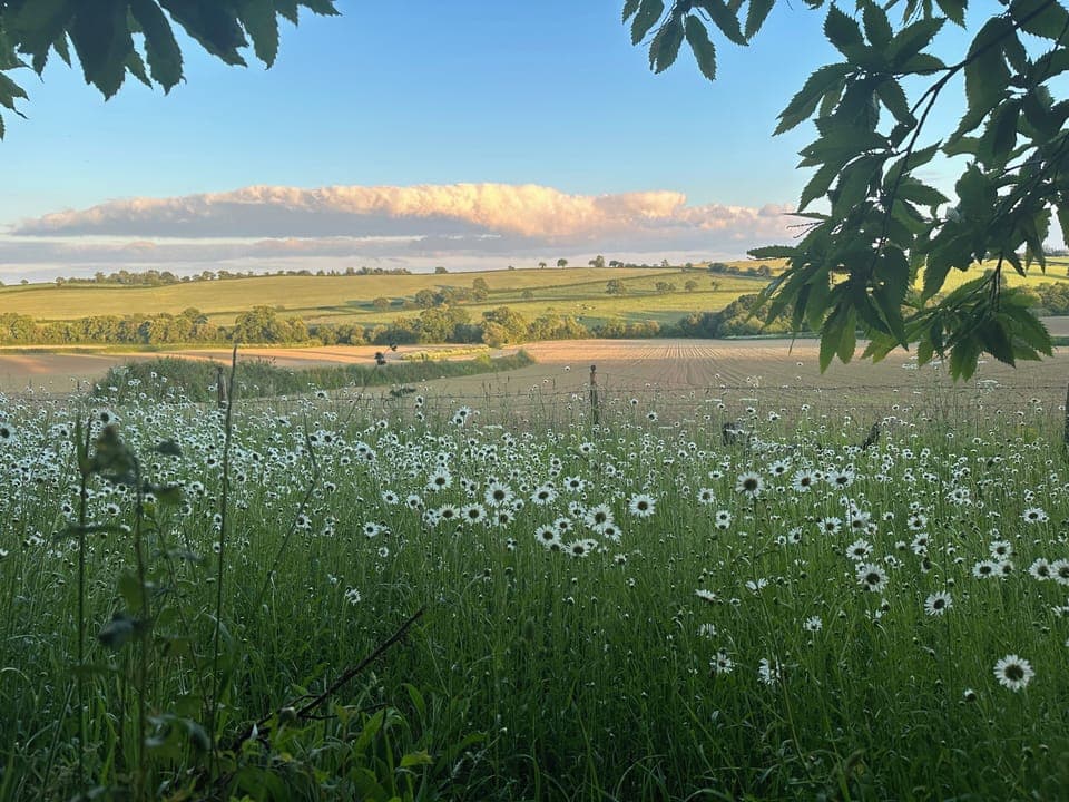 View from bottom of field