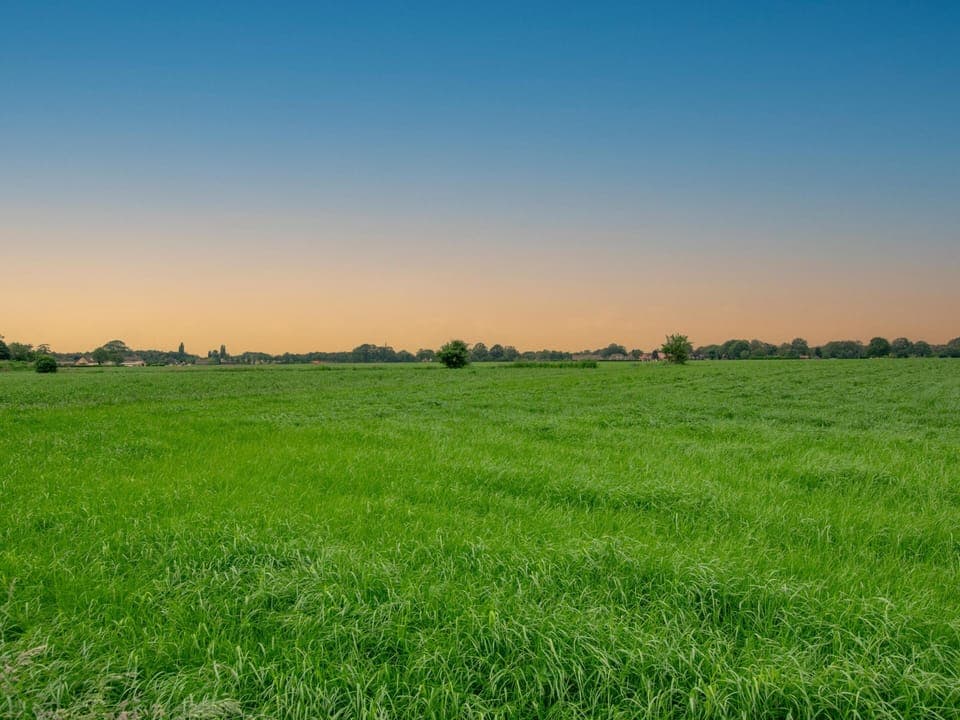 Immediate Surroundings [summer] (<1 km)