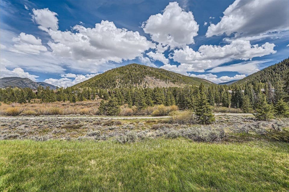A lush green meadow is in the foreground with mountains covered in pine trees under a partly cloudy blue sky.
