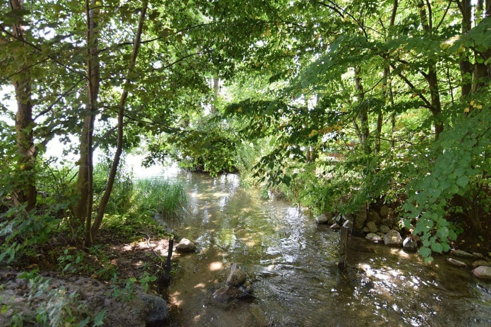 Immediate Surroundings [summer] (<1 km)