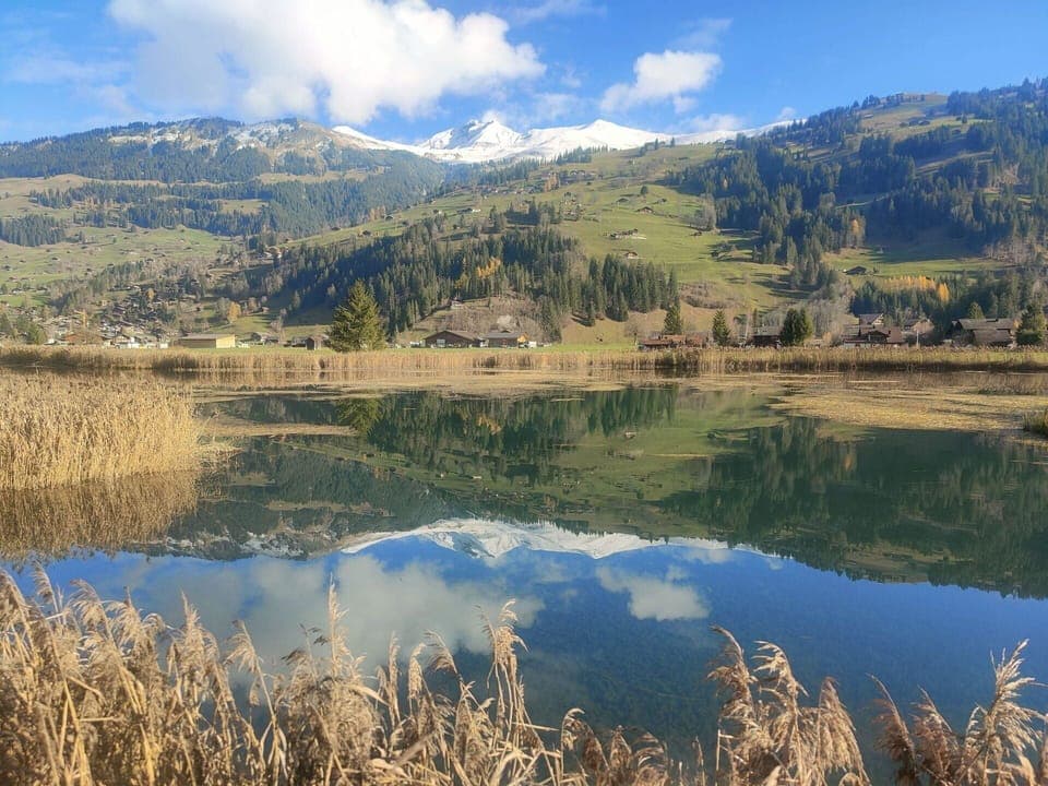 Snow, Building, Window, Freezing, House, Slope, Real Estate, Wood, Geological Phenomenon, Tree