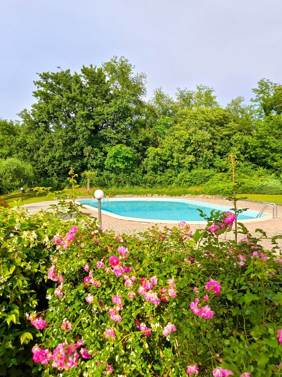 Communal swimming pool surrounded by greenery and colorful flowers, perfect for relaxing and enjoying moments of tranquility in the residence in Ponti sul Mincio.
