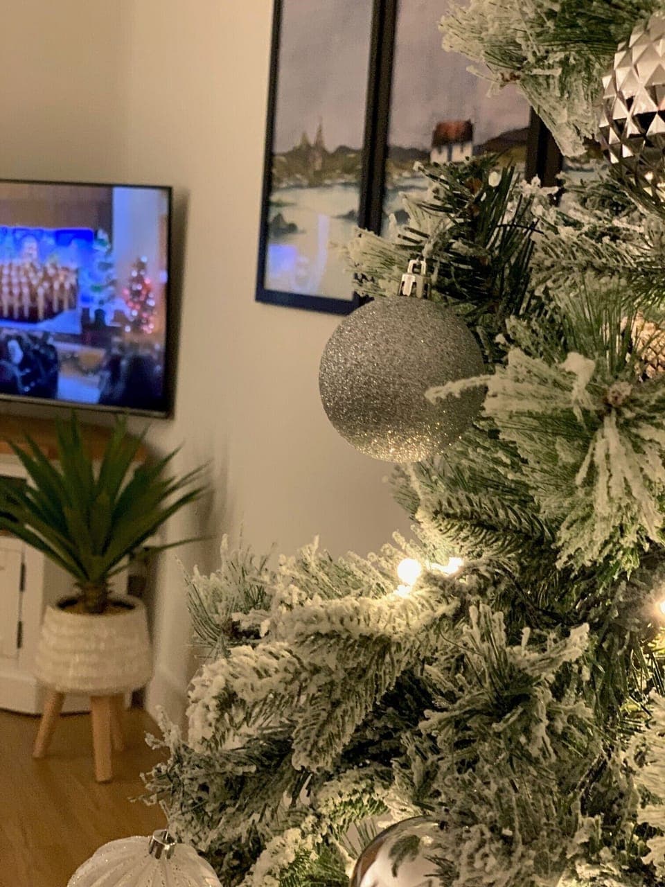 Christmas at Woodville (3)