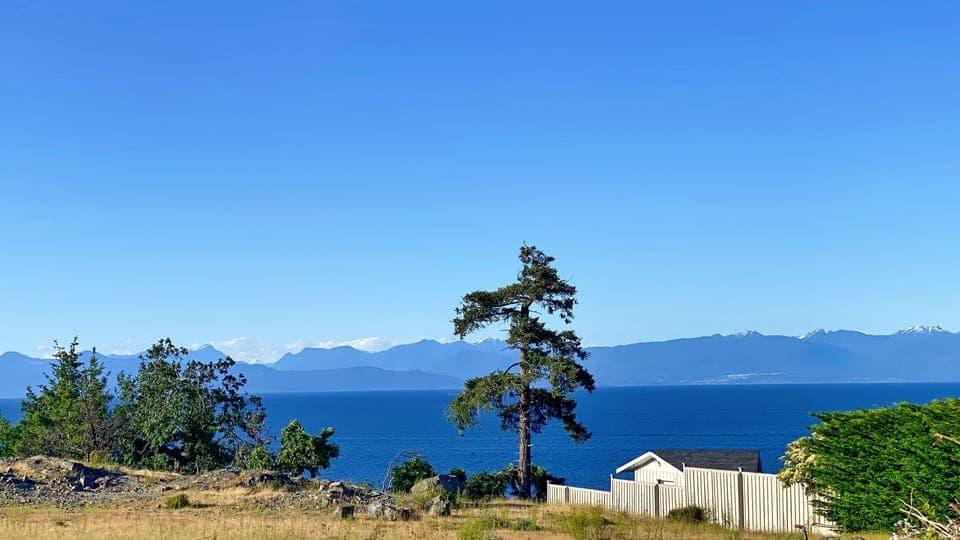 Oceanic view from in front of the house