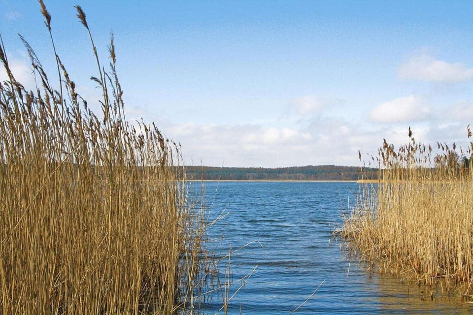 Surroundings [summer] (1-5 km)