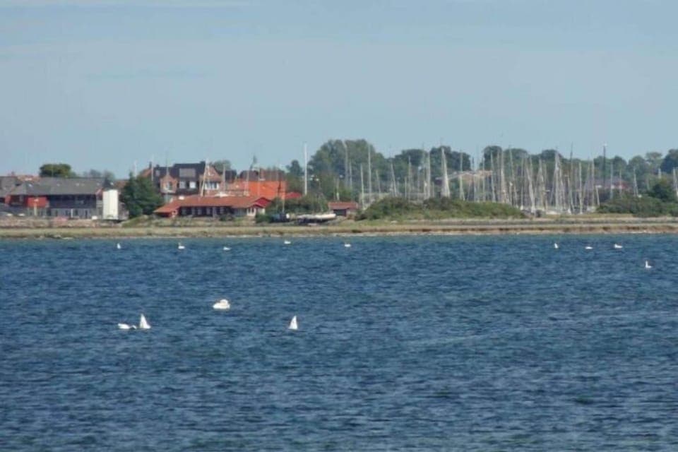 Surroundings [summer] (1-5 km)