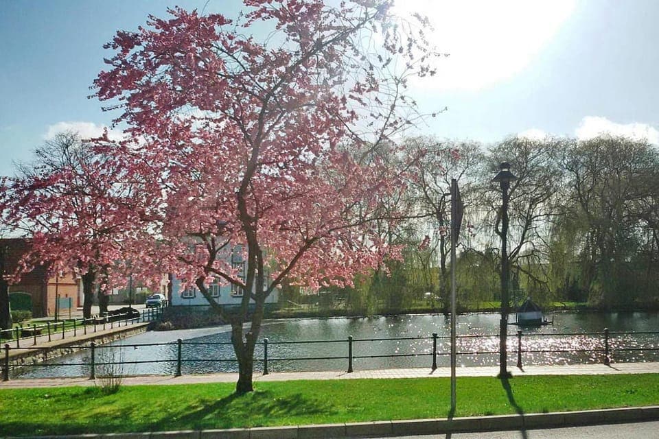 Surroundings [summer] (1-5 km)