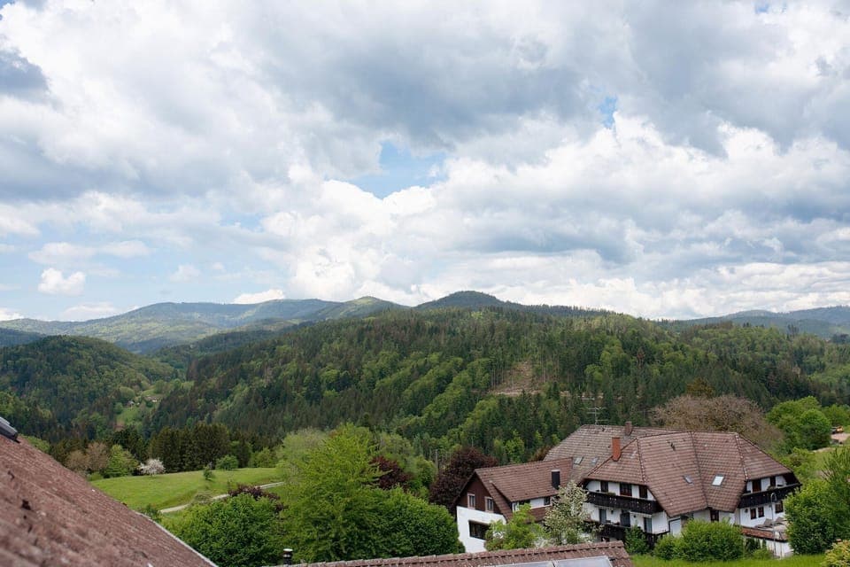 View from Holiday Home [summer]