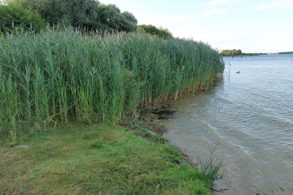 Surroundings [summer] (1-5 km)