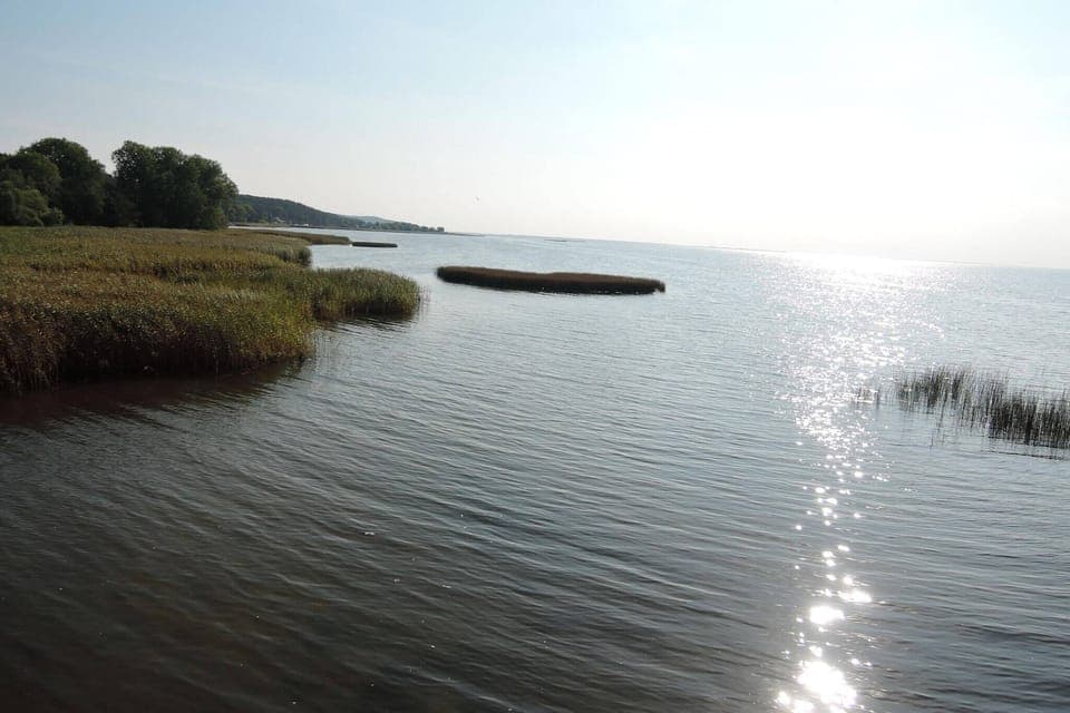 Immediate Surroundings [summer] (<1 km)