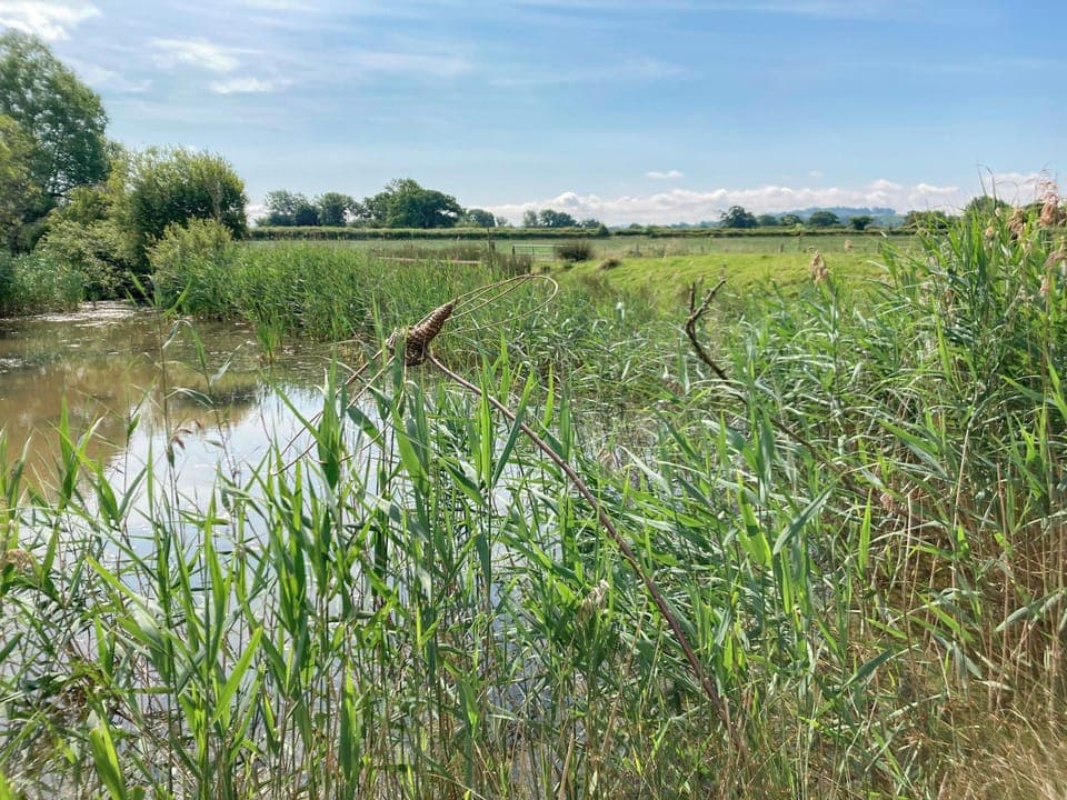 Surrounding area | Willow Lodge, Boys Hill, near Sherborne