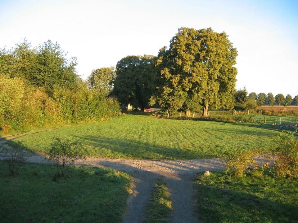 View from Holiday Home [summer]