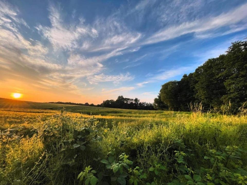 Region [summer] (>5 km)