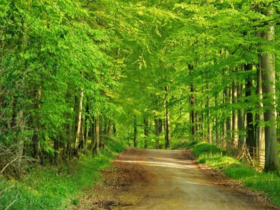 Region [summer] (>5 km)