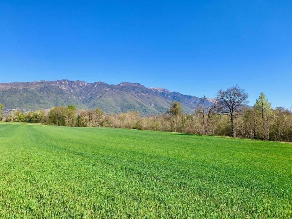 Region [summer] (>5 km)