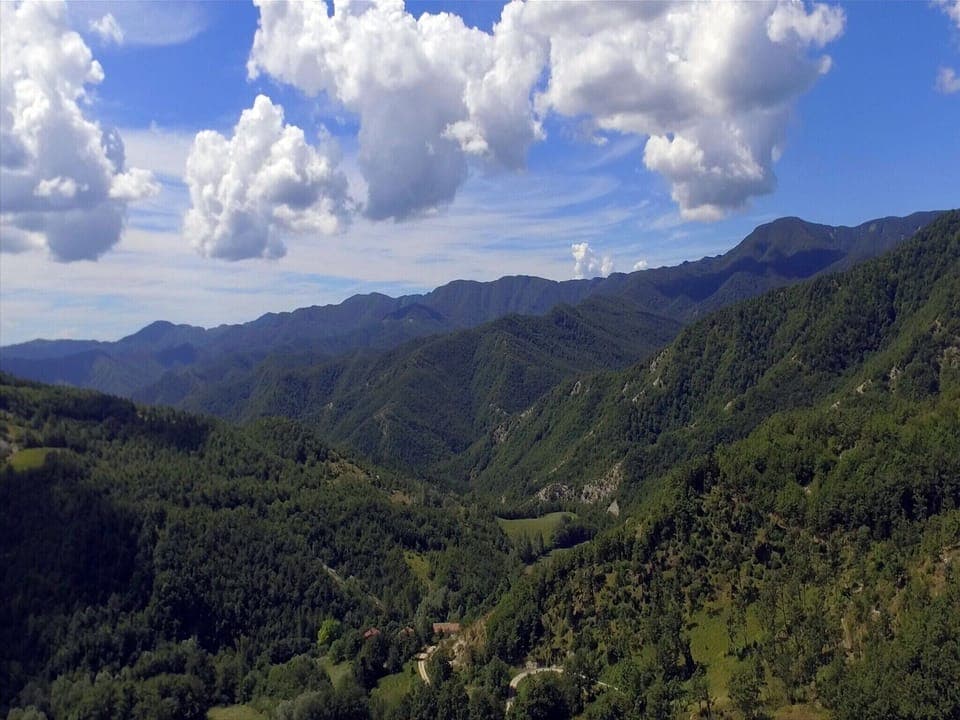 Region [summer] (>5 km)