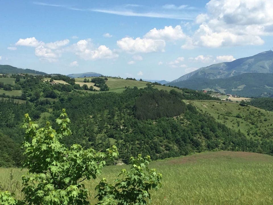 View from Holiday Home [summer]