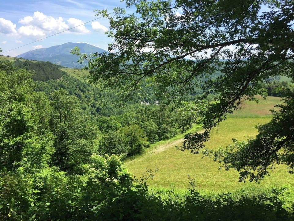 View from Holiday Home [summer]