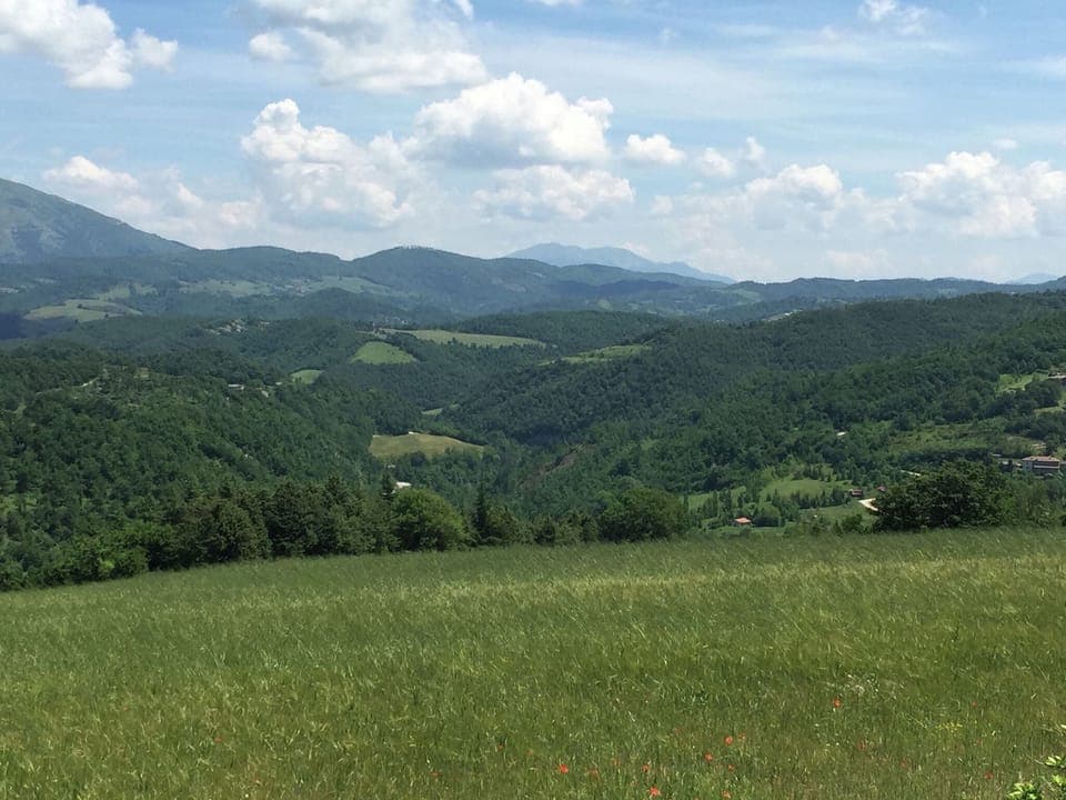 View from Holiday Home [summer]