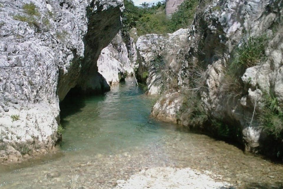 Region [summer] (>5 km)