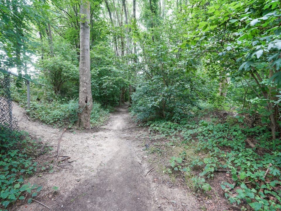 Immediate Surroundings [summer] (<1 km)