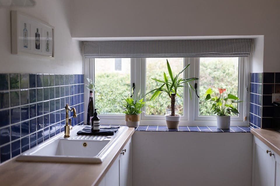 c23577f6-7291-4b70-9f2d-fea956af5b7f