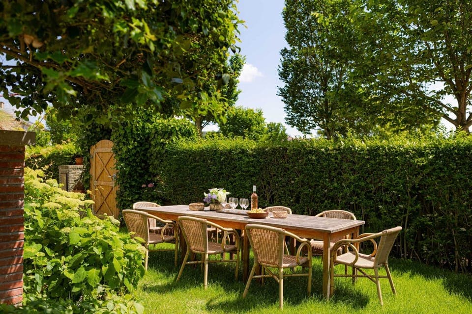 Tranquil sunny garden