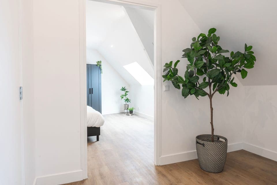 A glimpse into the serene hallway leading into the bright and welcoming bedroom, enhanced by a decorative potted plant that adds a natural touch.