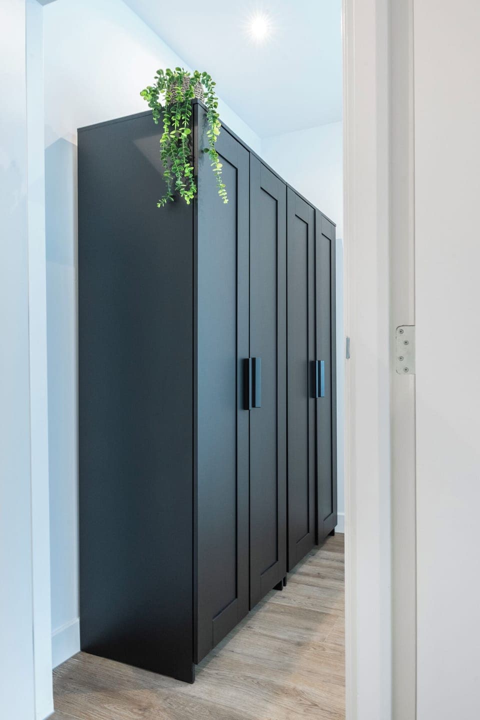 A sleek black wardrobe with clean lines and a plant hanging above it, adding a touch of greenery to the room.